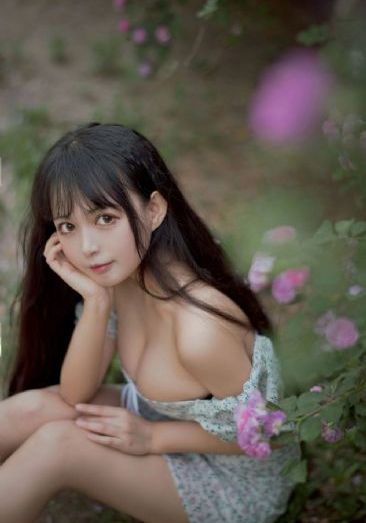 《剑来》