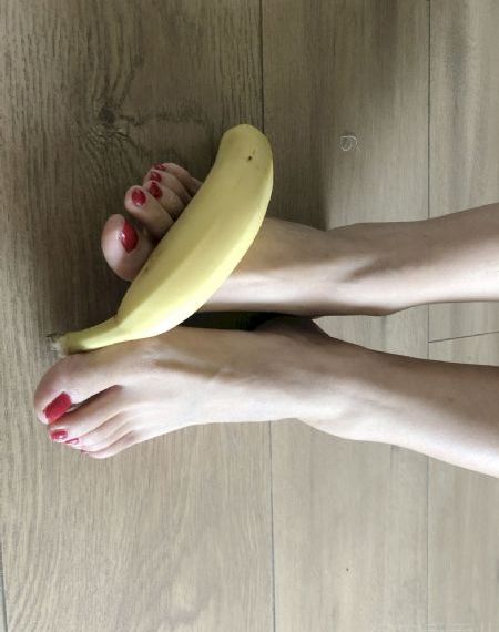 红楼梦情欲录