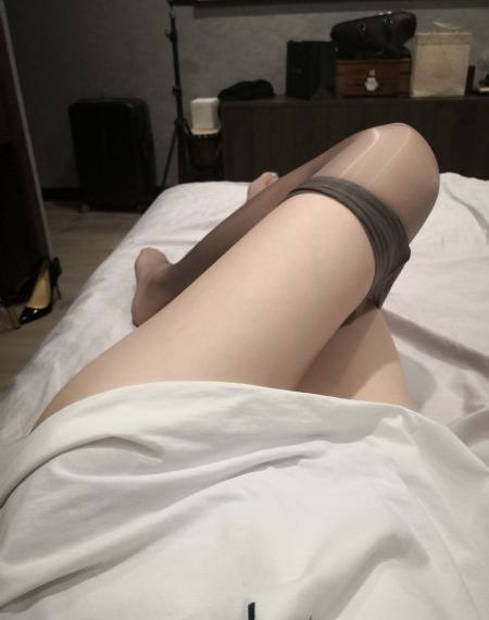 细狗免费版网页版本2