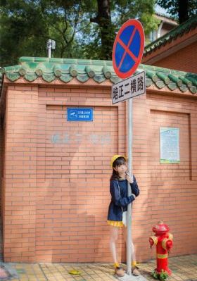 年轻的妹妹2