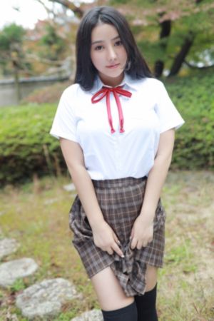女士的法则电视剧在线观看
