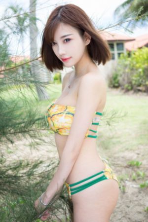 浪漫樱花国语高清在线观看