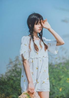 猫咪最新网站